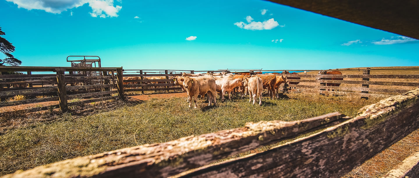 slider-2-header-hatolarubiera