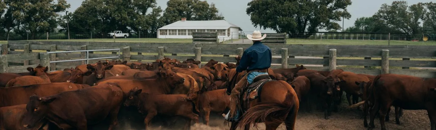 slider-historia-hatolarubiera